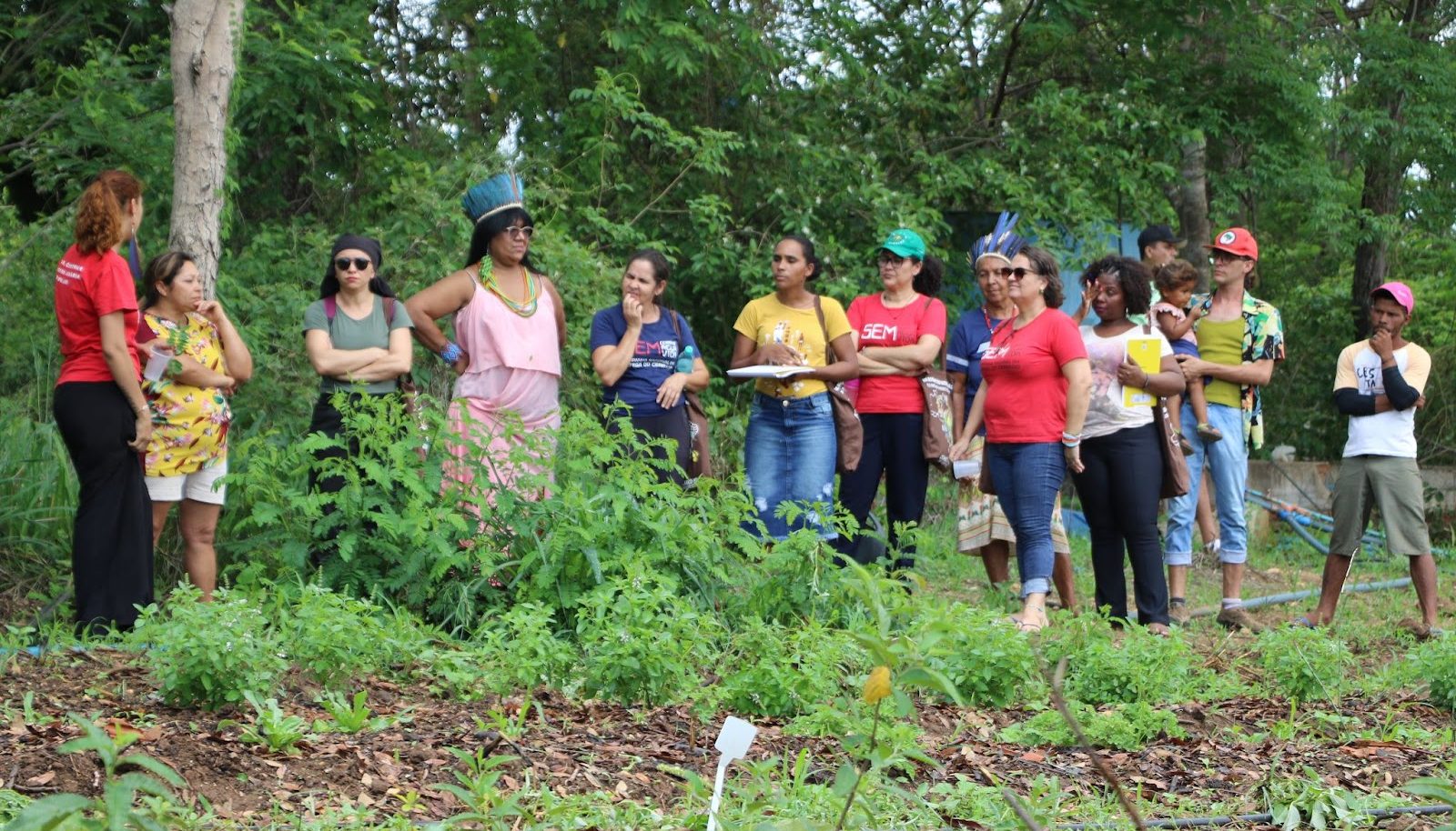 CNBB apoiou, em 2025, 234 projetos de Ecologia Integral com R$ 7.236.241,96 que impactam 918.969 pessoas em todo país