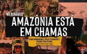 117392581_310416530166145_7857901515161844155_n