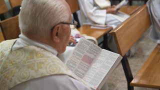 48724016702_1afa4f4821_b