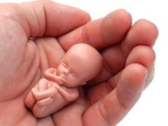 Aborto-1