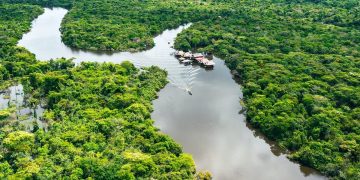 Aerial,View,Of,Amazon,Rainforest,In,Peru,,South,America.,Green