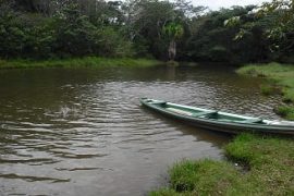 Amazônia_Legal