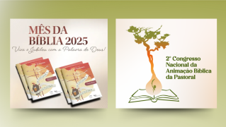 Animação Bíblico-Catequética eventos