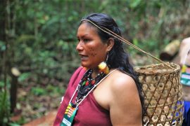 Belinda Foto Tadeu Rocha - Repam 1