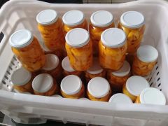 Beneficamento de Frutas do Cerrado