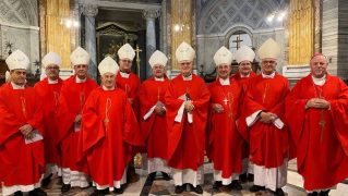 Bispos do Sul 1 em visita Ad Limina
