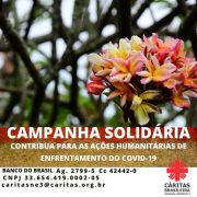 Campanha-solidaria-768x768