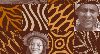 Capa_Revista_Cerrados