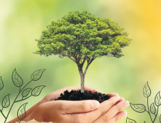 Captura de tela 2024-06-24 154922