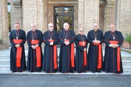 Cardeais brasileiros