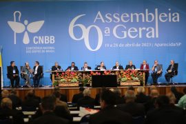 Comissão Ecologia Integral