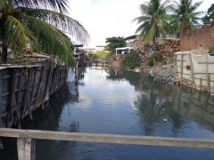 DSC00608-Cpia