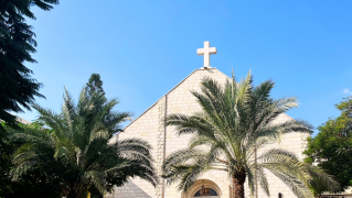 Dan Palraz - Wikipedia - Mensagem de Solidariedade Gaza - CNBB