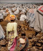 Desenvolvimento-integral