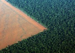 Desmatamento na Amazônia