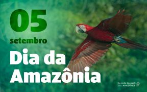 Dia da Amazônia