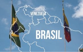 Reprodução Documentário||