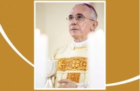 Dom-Henrique-Palmares