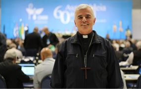 Dom Maurício Jardim