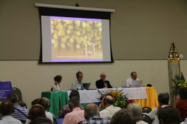 Dom Ricardo equipes NSA