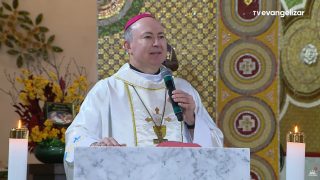 Dom Zico Semana da Vida