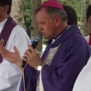 Dom_Jaime-missao-africa-270x270