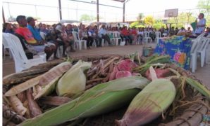 Encontro de comunidades veredeiras