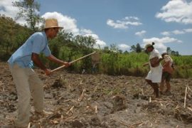 Foto_principal_da_Capa