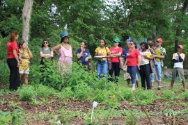 Guadiães do Cerrado