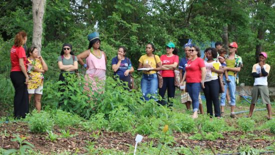 Guadiães do Cerrado