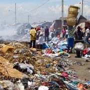 Haiti_maringa-270x270
