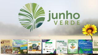 Junho Verde - ações locais amazônia