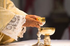 CREATOR: gd-jpeg v1.0 (using IJG JPEG v80), quality = 90