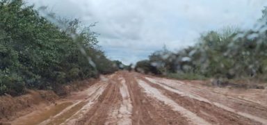 Noticias-Regional-17