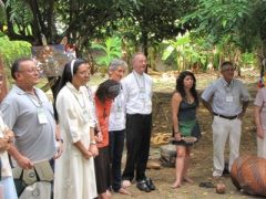 PAN_-_AMAZNIA-_2011_035