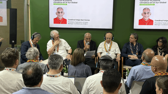 Painel Justiça Climática 17 de novembro