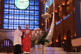 Parolin e Nossa Senhora Matheus