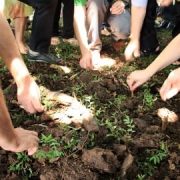 Passo-Fundo-Ano-cuidado-com-a-vida2-270x270