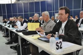 Regionalsul2emassembleia2012