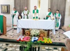 Repam_MiracemaTO-1-site