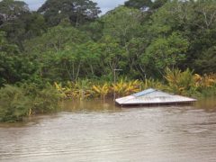 S.-Carlos-Casa-em-baixo-dgua