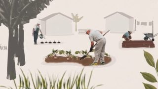 Série de vídeos Repam Brasil