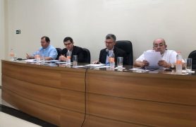 Foto: Departamento de Comunicação Regional Sul 1