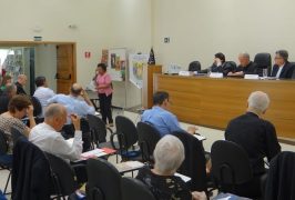 Sul1conser