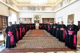 Visita Ad Limina Sul 1 D