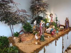 WhatsApp Image 2021-11-12 at 11.26.56 (1)