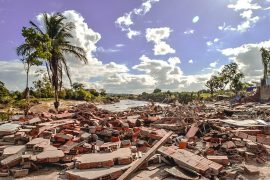 WhatsApp Image 2022-01-05 at 11.35.41 (1)