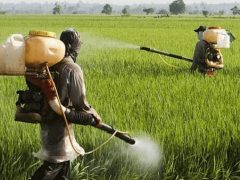 Benefícios da pulverização aérea|