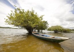 alter-do-chao-1-480x336_c