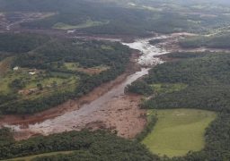 O Presidente da República